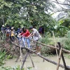 Du khách trải nghiệm đi cầu khỉ ở Cồn Sơn, phường Bùi Hữu Nghĩa, quận Bình Thủy (Cần Thơ). (Ảnh: Thanh Liêm/TTXVN)