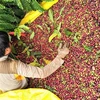 Các mặt hàng chính Thành phố Hồ Chí Minh xuất khẩu sang thị trường các nước Trung Đông bao gồm thủy hải sản, rau củ quả, càphê... (Ảnh: TTXVN)