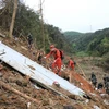 Mảnh vỡ máy bay gặp nạn của Hãng hàng không China Eastern Airlines ở thành phố Ngô Châu, tỉnh Quảng Tây (Trung Quốc) ngày 24/3/2022. (Ảnh: THX/TTXVN)