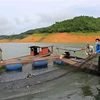 Các loài cá giống trong lồng trước khi được thả xuống lòng hồ sông Đà. (Ảnh: Thanh Hải/TTXVN)