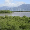 Mô hình trồng rừng ngập mặn phục hồi hệ sinh thái, ứng phó biến đổi khí hậu tại khu vực Đầm Nại, huyện Ninh Hải (Ninh Thuận). (Ảnh: Nguyễn Thành/TTXVN)