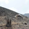 Người dân đốt dọn diện tích rừng bị phá để lấy đất sản xuất thuộc lâm phần Công ty cổ phần Tập đoàn Tân Mai-Chi nhánh Đắk Lắk quản lý. (Ảnh: Tuấn Anh/TTXVN)