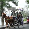 Du khách trải nghiệm đi xe ngựa tham quan hồ Xuân Hương, thành phố Đà Lạt sáng 30/4. (Ảnh: Nguyễn Dũng/TTXVN)