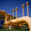Đường ống dẫn khí tại trạm nén khí Bulgartransgaz ở Ihtiman (Bulgaria) ngày 5/5/2022. (Ảnh: AFP/TTXVN)