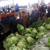 Người dân mua sắm tại chợ ở Ankara (Thổ Nhĩ Kỳ). (Ảnh: AFP/TTXVN)
