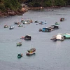 Nuôi cá lồng bè trên vùng biển An Thới, thành phố Phú Quốc (Kiên Giang). (Ảnh: Lê Huy Hải/TTXVN)