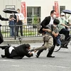 Lực lượnag an ninh bắt giữ nghi phạm sau khi cựu Thủ tướng Nhật Bản Abe Shinzo bị bắn tại thành phố Nara, ngày 8/7/2022. (Ảnh: Mayumi Ueda/TTXVN)