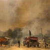 Lính cứu hỏa nỗ lực dập đám cháy rừng tại vùng Ksar Sghir, miền Bắc Maroc ngày 14/7/2022. (Ảnh: AFP/TTXVN)