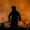 Lực lượng cứu hỏa nỗ lực dập lửa cháy rừng tại Eiriz in Baiao, phía bắc Bồ Đào Nha, ngày 16/7/2022. (Ảnh: AFP/TTXVN)