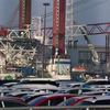 Hoạt động tại cảng hàng hóa CuxPort ở Cuxhaven, miền Bắc Đức, ngày 16/12/2020. (Ảnh: AFP/TTXVN)