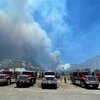 Khói bốc lên từ đám cháy rừng tại Wrightwood, California (Mỹ), ngày 12/6/2022. (Ảnh: AFP/TTXVN)