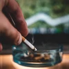 Thuốc lá điếu vẫn là cám dỗ lớn nhất trong các sản phẩm thuốc lá.