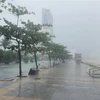Khu vực ven biển Mỹ Khê, Đà Nẵng trước khi bão số 4 đổ bộ. Ảnh: Văn Dũng/TTXVN