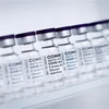 Vaccine phòng COVID-19 của hãng Pfizer/BioNTech. (Ảnh: AFP/TTXVN)
