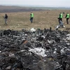 Hiện trường vụ rơi máy bay MH17 của hãng hàng không Malaysia Airlines ở miền Đông Ukraine ngày 11/11/2014. (Ảnh: AFP/TTXVN)