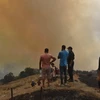 Đám cháy trên ngọn đồi ở Kabylie (Algeria) hồi tháng 8/2021. (Nguồn: Jeune Afrique)