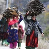 Những người phụ nữ đi vác củi tại Dara-i Noor, tỉnh Nangarhar (Afghanistan), ngày 13/11/2022. (Ảnh: AFP/TTXVN)