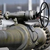 Tổng thống Belarus cho biết giá khí đốt của Nga cung cấp cho Minsk đã được ấn định và có lợi cho Belarus. (Ảnh: AFP/TTXVN)
