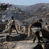 Nhiều ngôi nhà bị thiêu rụi trong vụ cháy rừng tại Viña del Mar (Chile), ngày 23/12/2022. (Ảnh: AFP/TTXVN)