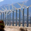 Cánh đồng turbin gió ở gần Palm Springs, California (Mỹ). (Ảnh: AFP/TTXVN)