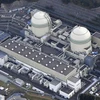 Lò phản ứng số 3 (trái) và số 4 (phải) tại nhà máy điện hạt nhân Takahama ở tỉnh Fukui (Nhật Bản). (Nguồn: Kyodo/Japan Times)