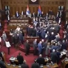 Nghị sỹ Serbia "nói chuyện" bằng nắm đấm lúc Tổng thống phát biểu