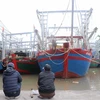 Hàng trăm tàu cá tại Hải Phòng hiện nằm bờ do không có đủ chức danh thuyền viên theo quy định. (Ảnh: Hoàng Ngọc/TTXVN)