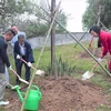 Các đại biểu trồng cây hoa anh đào tại Công viên Hòa Bình. (Ảnh: Nguyễn Cúc/TTXVN)