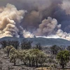 Khói bốc lên tại đám cháy rừng ở vùng Ksar Sghir, miền Bắc Maroc ngày 14/7/2022. (Ảnh: AFP/TTXVN)