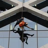 Công nhân lau kính tại tòa nhà cao tầng ở Sydney (Australia). (Ảnh minh họa: AFP/TTXVN)