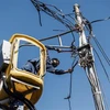 Công nhân kiểm tra đường dây điện tại Johannesburg (Nam Phi). (Ảnh: AFP/TTXVN)