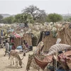 Người tị nạn Sudan dựng trại tạm tại Koufroun (Cộng hòa Chad), ngày 30/4/2023. (Ảnh: AFP/TTXVN)