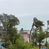 Gió thổi mạnh sau khi bão Mawar tràn vào lãnh thổ Guam thuộc Mỹ, ngày 24/5/2023. (Ảnh: AFP/TTXVN)