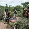 Lực lượng an ninh chuyển một người được cứu sống tại rừng Shakahola, gần thị trấn Malindi (Kenya), nơi hàng chục thi thể các tín đồ của một giáo phái được khai quật, ngày 23/4/2023. (Ảnh minh họa: AFP/TTXVN)