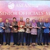 Các đại biểu tham dự cuộc họp Các Quan chức Cấp cao Hiệp hội các Quốc gia Đông Nam Á (SOM ASEAN) và Ban Điều hành Hiệp ước Khu vực Đông Nam Á không có vũ khí hạt nhân (SEANWFZ). (Ảnh: TTXVN phát)