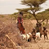 Phụ nữ và trẻ em tại khu vực chịu ảnh hưởng của hạn hán ở Loiyangalani, làng Parapul, Marsabit, miền bắc Kenya tháng 7/2022. (Ảnh: AFP/TTXVN)