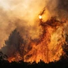 Các đám cháy rừng tại Agia Sotira, ngoại ô Athens (Hy Lạp), ngày 20/7/2023. (Ảnh: THX/TTXVN)