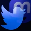 Ông Musk cho biết Twitter sẽ sớm thay đổi logo và dần tạm biệt biểu tượng hình chim xanh. (Ảnh: AFP/TTXVN)