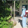 Lực lượng y tế phun hóa chất diệt muỗi tại khu dân cư. (Ảnh: Dư Toán/TTXVN)