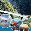 [Infographics] Tìm hiểu thông tin về bốn cây cầu kính ở Việt Nam
