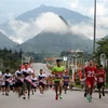 Các vận động viên tham gia Giải chạy việt dã chinh phục đỉnh núi Lao Tỷ Phùng tại Lai Châu, sáng 29/8/2023. (Ảnh: Quý Trung/TTXVN)