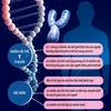 [Infographics] Giải mã bí ẩn nhiễm sắc thể Y xác định giới tính nam