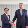 Bộ trưởng Bùi Thanh Sơn gặp Bộ trưởng Ngoại giao Iran Hossein Amir Abdollahian. (Ảnh TTXVN phát)