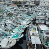 Tàu thuyền neo đậu nhằm tránh trú bão Koinu tại huyện Pingtung, Đài Loan (Trung Quốc) ngày 4/10/2023. (Ảnh: AFP/TTXVN)