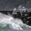 Sóng lớn do ảnh hưởng của bão Koinu ở thành phố Cơ Long, vùng lãnh thổ Đài Loan (Trung Quốc), ngày 5/10/2023. (Ảnh: AFP/TTXVN)