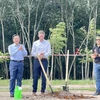 Phó Thủ tướng Lê Minh Khái (trái) tham gia trồng cây cùng lãnh đạo Tập đoàn LEGO, tại nhà máy LEGO ở tỉnh Bình Dương ngày 15/9/2023. (Ảnh: Huyền Trang/TTXVN)
