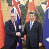 Thủ tướng Australia Anthony Albanese (trái) trong cuộc gặp Chủ tịch Trung Quốc Tập Cận Bình tại Đại Lễ đường Nhân dân ở Bắc Kinh, ngày 6/11/2023. (Ảnh: THX/TTXVN)