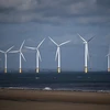 Trang trại gió ngoài khơi bờ biển Redcar (Anh). (Ảnh: AFP/TTXVN)