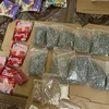 Hơn 10kg ma túy tổng hợp các loại bị thu giữ. (Nguồn: Công an tỉnh Quảng Bình)