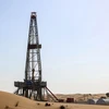 Một giàn khoan dầu tại Dubai, Các Tiểu Vương quốc Arab Thống nhất. (Ảnh: AFP/TTXVN)